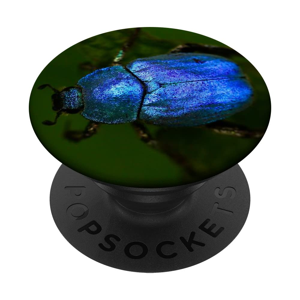 Beetle Bug PopSockets Swappable PopGrip