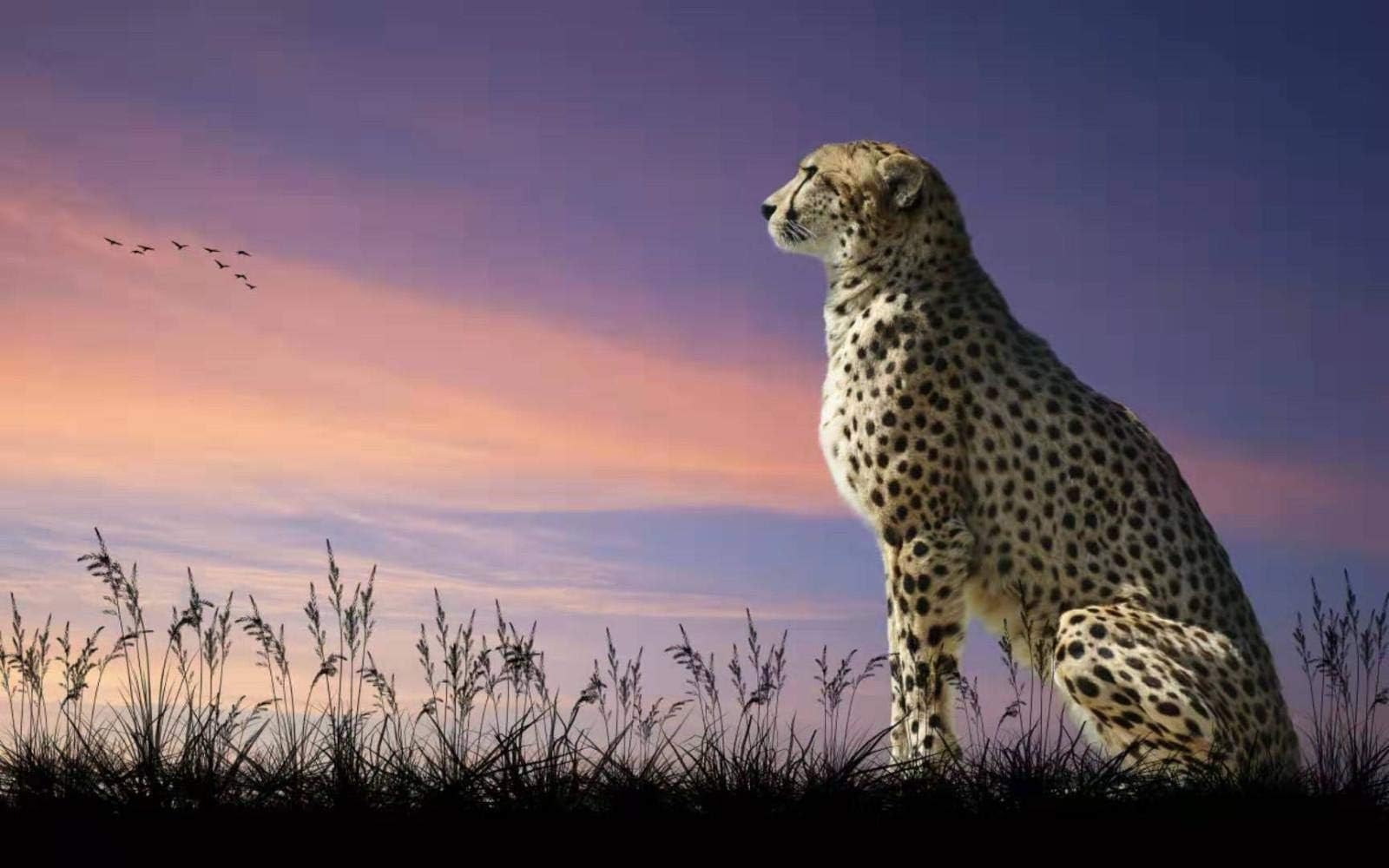 LIZELUO Children'S Wooden Jigsaw Puzzle 1000 Pieces Leopard and Bird Creative Crossword Game Modern Home Decoration Unique Gift