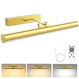 Bridika Picture Lights for Wall Battery Operated