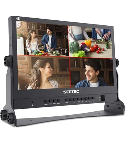 Amazon.com: SEETEC P173-9HSD 17.3 Inch 1920x1080 Desktop Monitor