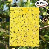 KLEMOO Yellow Sticky Traps Dual-Sided 20-Pcs (6