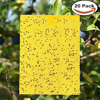 KLEMOO Yellow Sticky Traps Dual-Sided 20-Pcs (6"×8"), Trap Flying Plant insect Like Fungus Gnats, Whiteflies, Aphids, Leafminers etc (Twist Ties included)
