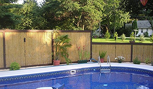 Backyard X Scapes Natural Rolled Bamboo Fence 75in D X 6ft H X