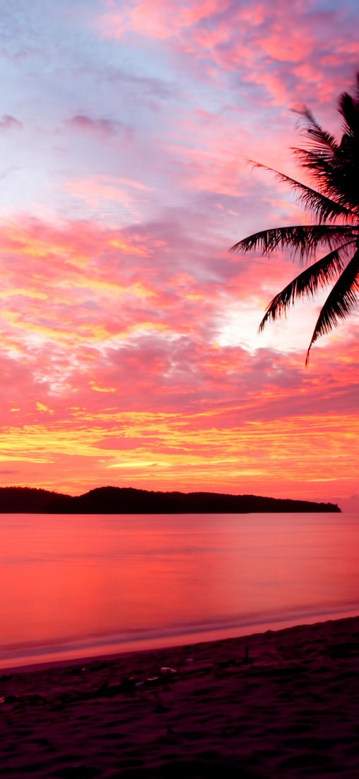 PeelitStickit, Paradise Vacations Wall Murals, ID-012, vinyl