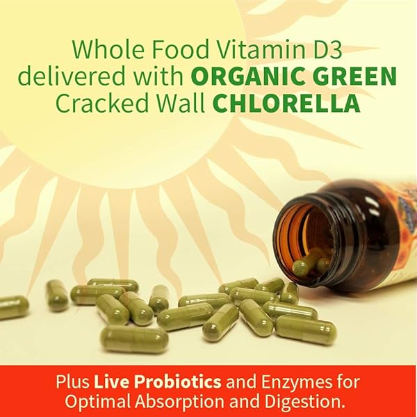 GARDEN OF LIFE D3 – VITAMIN CODE WHOLE FOOD RAW D3 VITAMIN SUPPLEMENT, 2000 IU, DAIRY AND GLUTEN FREE, VEGETARIAN, 120 CAPSULES D3 WITH ORGANIC GREEN CRACKED WALL CHLORELLA PLUS PROBIOTICS