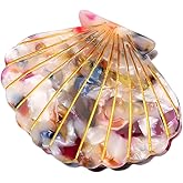 Colorful Ocean Shell Hair Clip,Acetate Claw Clips,Hair Clips for Women,Mix
