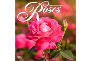 Roses | 2026 12 x 24 Inch (Hanging) Monthly Square Wall Calendar | Plastic-Free | BrownTrout | Flower Floral Plant Outdoor Nature Gardening