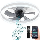 DewShrimp Flush Mount Bladeless Ceiling Fan with
