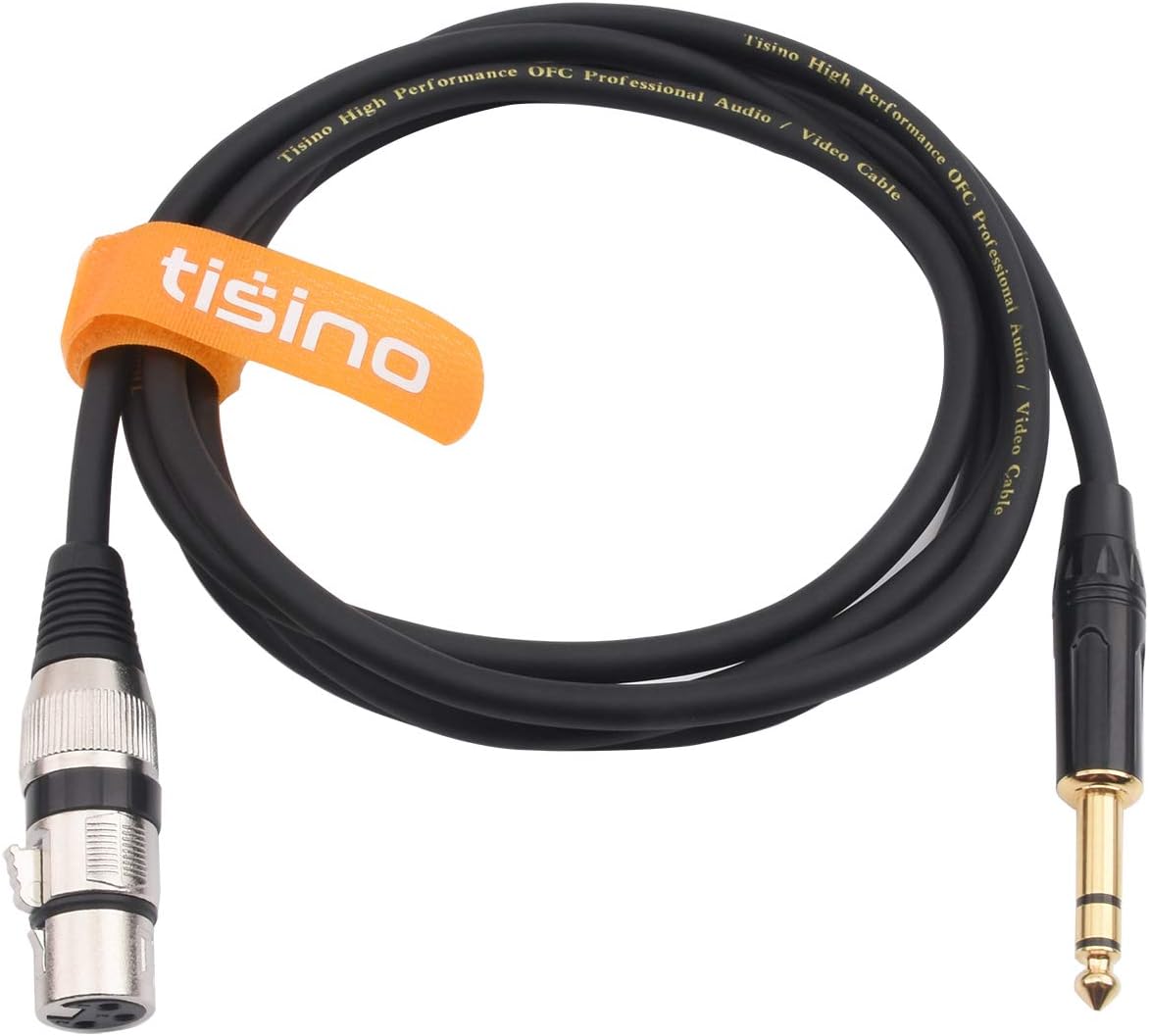 TISINO XLR Female to 1/4 Inch (6.35mm) TRS Jack Lead Balanced Signal Interconnect Cable XLR to Quarter inch Patch Cable - 3.3 Feet: Musical Instruments
