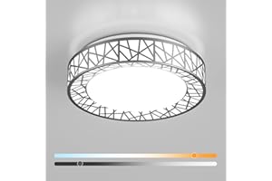 Lightania 20 Inch Flush Mount Ceiling Light, Modern Brushed Nickel LED Ceiling Light Fixture, 42W 4000LM 2700-6500K Adjustable, Dimmable Ceiling Lights for Bedroom, Kitchen, Hallway, Bathroom, ETL