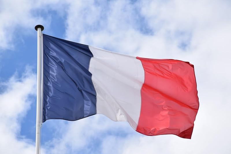 BigTree France Flag 3x5 Ft Polyester with Grommets for Garden & Events