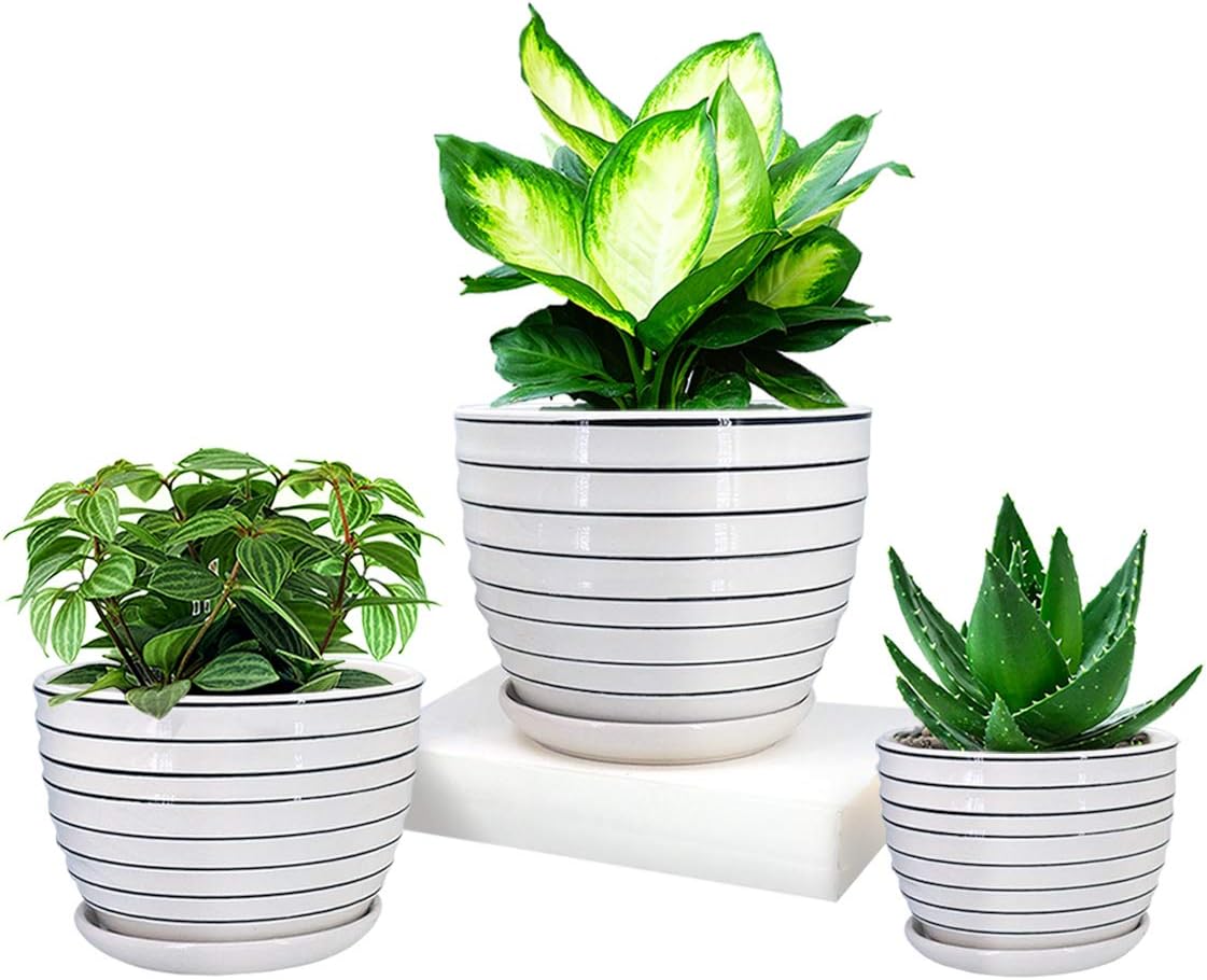 GeLive Round White Ceramic Flower Pot, Indoor Planter with Black Stripe, Garden Plant Container, Home Office Tabletop Decor, Set of 3 (White with Black Stripe)