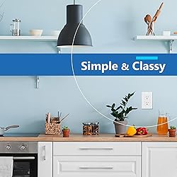 LIDER Matte Finish Decorator Switch