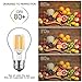 gezee 10W Edison Style Vintage LED Filament Light Bulb, 100W Incandescent Replacement,Warm White 2700K,1000LM, E26 Medium Base Lamp, A19(A60) Antique Shape, Clear Glass Cover,Dimmable（3-Pack）