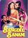 Sangdil Sanam (1994) (Hindi Film / Bollywood Movie / Indian Cinema DVD)