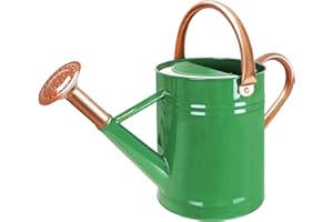 Megawodar Metal Watering Can with Removable Spout, Galvanized Steel Plants Water Can for Women, Men and Kids' Outdoor or Indoor Gardening - Nice Flower Metal Watering Pot Gift & Decoration