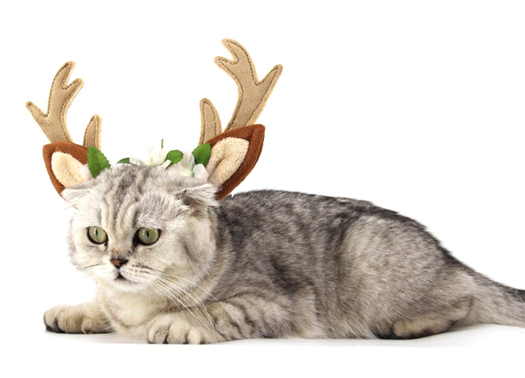 Hillento Dog Elk Antler Reindeer Hat Cap Dog Cat Pet with Flowers Christmas Reindeer Antlers Ears Wearable for Small/Medium/Large Dogs, M