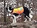 SafetyPUP XD Reflective Dog Vest. Hi-Visibility, Fluorescent Blaze Orange Dog Vest Helps Protect Your Best Friend. Safeguard Your PUP from Motorists & Hunting Accidents, On or Off Leash. (Med)