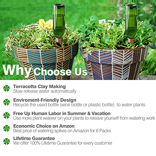 3 Watering+Devices+Terracotta+Vacation+Waterer