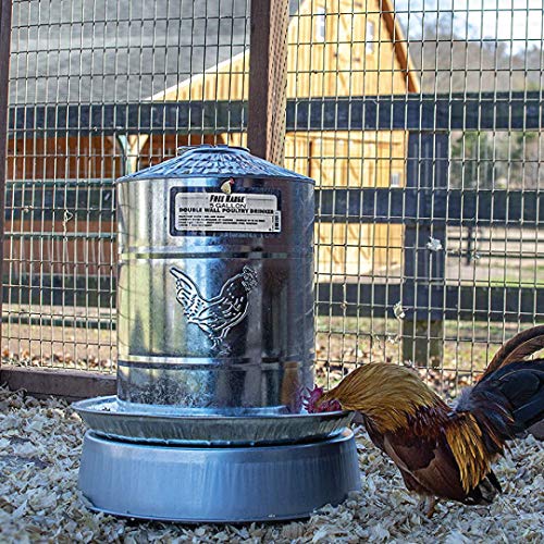 Manna Pro Chicken Waterer Holds 2 Gallons of Chicken Water Hanging