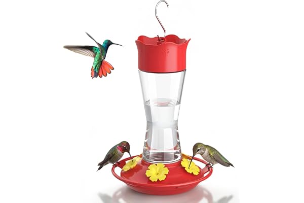 Kingsyard Glass Hummingbird Feeder for Outdoors Hanging, 10 oz Leak-Proof Humming Bird Feeders with Ant Moat & Bee Proof Feed