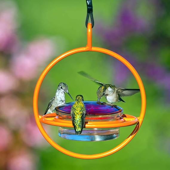 Couronne Company Mosaic Birds M047 301 O Hummble Bold Hummingbird