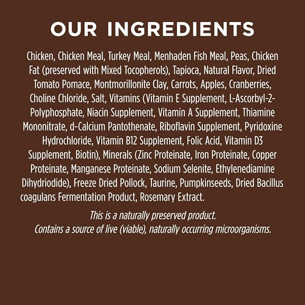 INSTINCT ORIGINAL DRY CAT FOOD, RAW COATED KIBBLE, HIGH PROTEIN, GRAIN FREE RECIPE – REAL CHICKEN, 11 LB. BAG