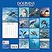 2019 Wall Calendar - Dolphins Calendar, 12 x 12 Inch Monthly View, 16-Month, Sea Animals Theme, Includes 180 Reminder Stickers