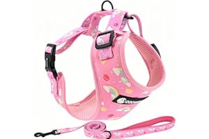COOWONE No Pull Dog Cat Harness and Leash Set, Puppia Soft Mesh Padded and Adjustable Puppy Vest Cute Pink Dog Clothes Escape Proof Easy Walk Dog Accessories for Small Medium Large Dogs Kitten