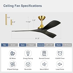 BvenuBigLite Modern Ceiling Fan with Remote: Black