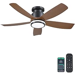 Ceiling Fans with Lights and Remote/APP Control, 41