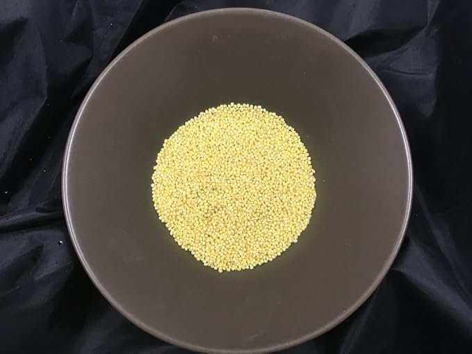 Mijo semillas a granel - 250: Amazon.es: Alimentación y bebidas