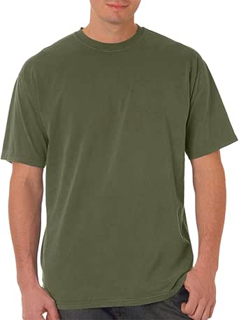 Comfort Colors 6.1 oz. Garment-Dyed T-Shirt, Sage, Large | Amazon.com