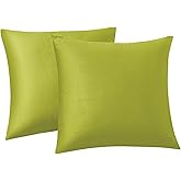 RainRoad Bright Green Throw Pillows Covers Set of 2 Soft Velvet Decorative Pillow Covers 18x18 Inch for Couch Bed (Bright Green, 18" x 18"(Pack of 2))