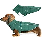 DJANGO Insulated Puffer Dog Jacket with Harness Hole – Warm, Water-Repellent Winter Dog Coat Small Dogs, Dachshunds, Puppies – Adjustable, Reflective Cold Weather Dog Apparel – Lafayette Green, Small