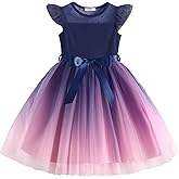 Arshiner Toddler Girls Tutu Dress Summer Contrast Mesh Party Dresses Cute Princess Tulle Sundress with Belt 2-8Y