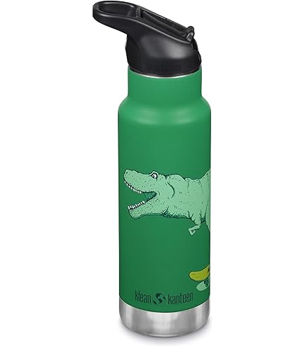 Amazon.com: Klean Kanteen 18 oz Classic Water Bottle with Flip