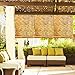 Radiance 0360486 Natural Woven Reed Light Filtering Roll Up Window Blind, 48-Inch Wide by 72-Inch High