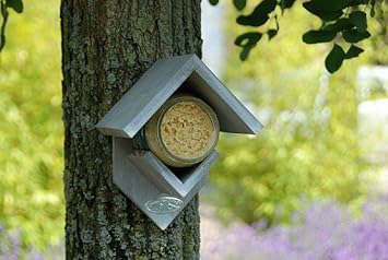 Peanut Butter Bird Feeder Peanut Butter Jar Or Peanut Butter