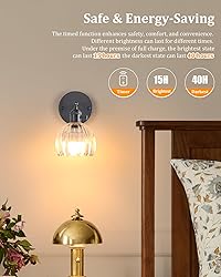 Shenmoyl Vintage Battery Operated Wall Sconce with