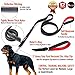Primal Pet Gear Dog Leash - Extra Heavy Duty - Thick 3mm Nylon - 6ft Long - Premium Quality - 1