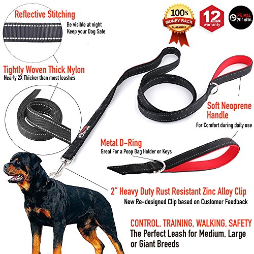 Primal Pet Gear Dog Leash - Extra Heavy Duty - Thick 3mm Nylon - 6ft Long - Premium Quality - 1" Wide - Reflective - Padded Handle - Perfect for Large - Medium or Strong Small Dogs - Lightweight