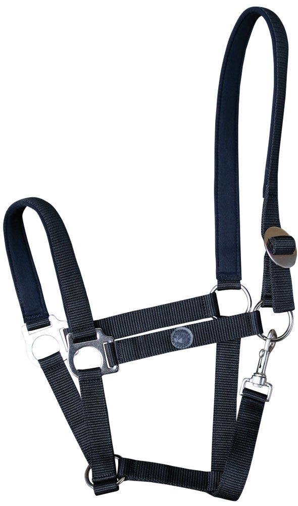 Harry's Horse 31000910 05FULL Bridle, Lined and Full (Black, Large