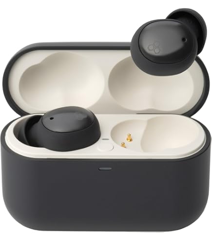 Amazon.com: Final Audio ZE3000 SV True-Wireless Noise-Cancelling