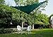 Cool Area Triangle 9 Feet 10 Inches Durable Sun Shade Sail with Stainless Steel Hardware Kit, UV Block Fabric Patio Shade Sail in Color Green