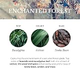 Ashleigh & Burwood Enchanted Forest Lamp Fragrance 500 mL UK-made view 3