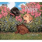 Puppy 2020 Calendar by