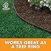 EasyFlex Heavy-Duty No-Dig Landscape Edging with Anchoring Spikes, 1.7 in. Tall Straight Top Commercial Grade Plastic Garden Border, Pack of (8) 20' Coils, Black (3100-20C-8) 160 Foot