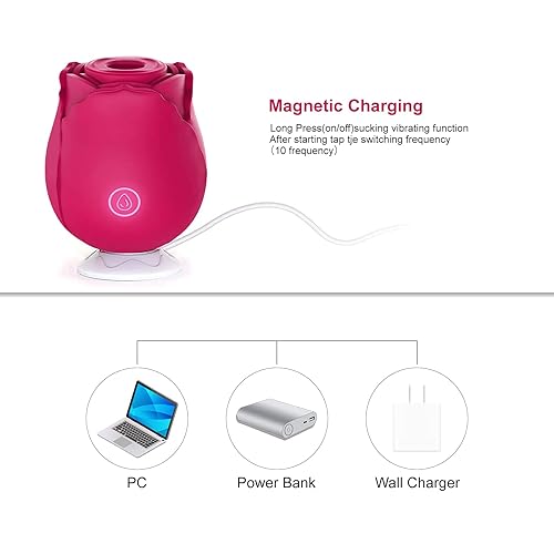Rose Toy for Women - Upgraded Rose Sexual Stimulator with 10 Modes for  Sexual Pleasure, Rose Adult Toy for Female Couples - RDE05 in Saudi Arabia 