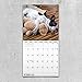 2020 French Bulldogs Wall Calendar